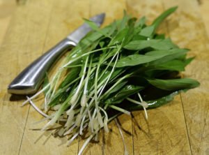 wild garlic leaves