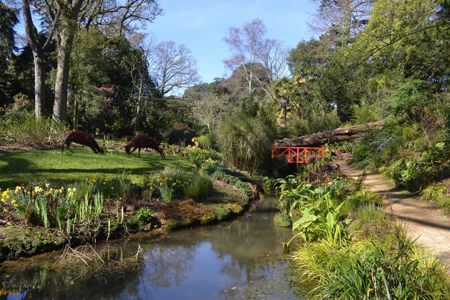 Abbotsbury Gardens